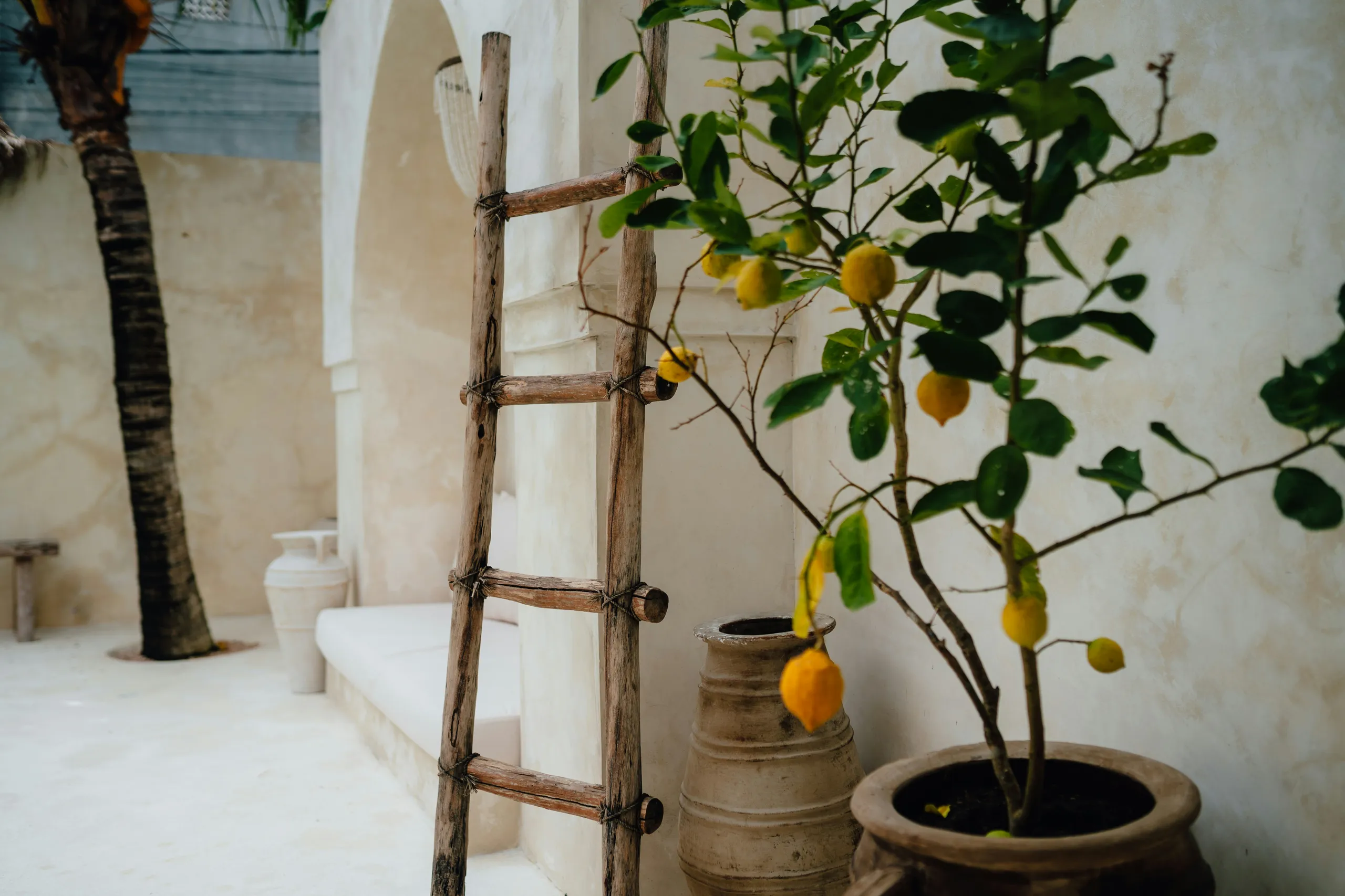 Patio mediterráneo con limonero, escalera y macetas de terracota